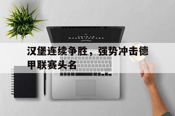 赛事资讯-汉堡连续争胜，强势冲击德甲联赛头名